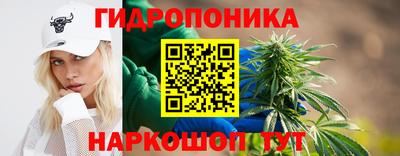 винт Краснодар