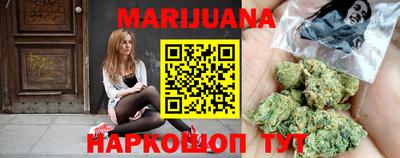 сатива Краснознаменск