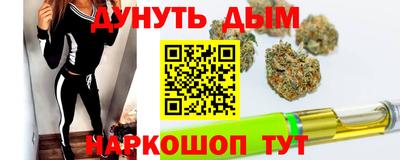 сатива Краснознаменск