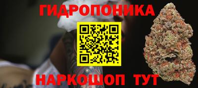сатива Краснознаменск