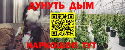 сатива Краснознаменск